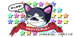 フルコンプしました！