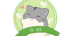 中級 中級