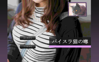 パイスラ猫の噂