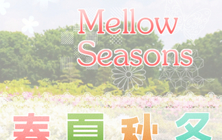 Mellow Seasons