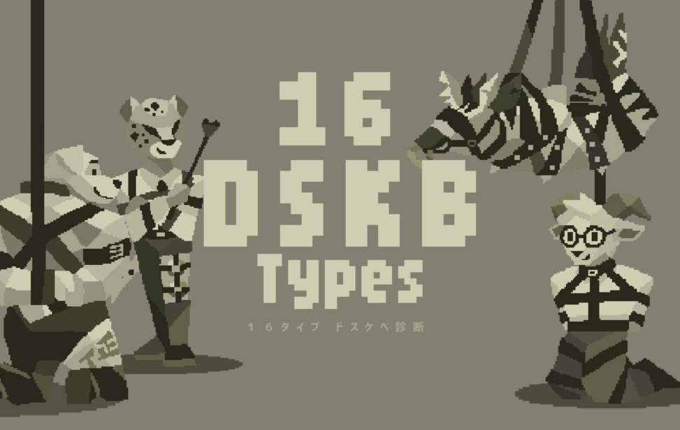 16 DSKB Types