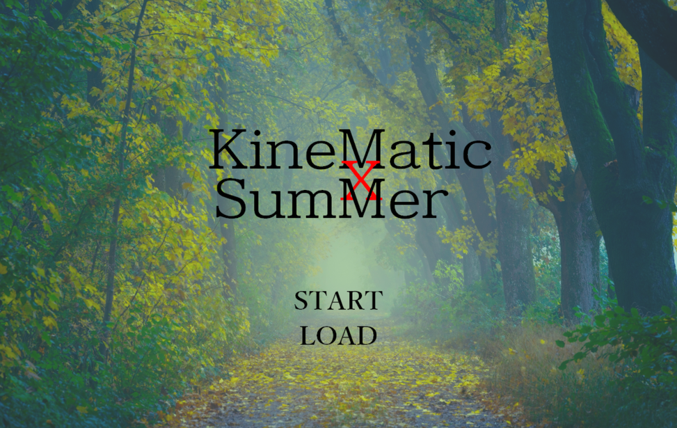 KineMatic X SumMer
