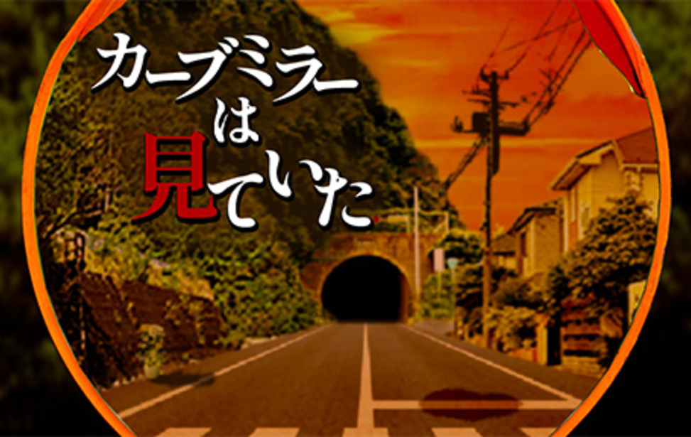 カーブミラーは見ていた