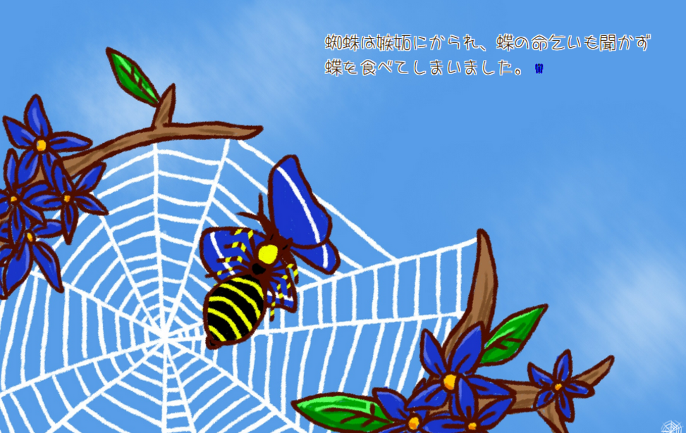 青い翅の蜘蛛