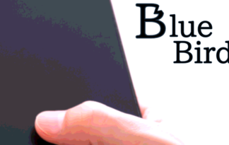 Blue Bird