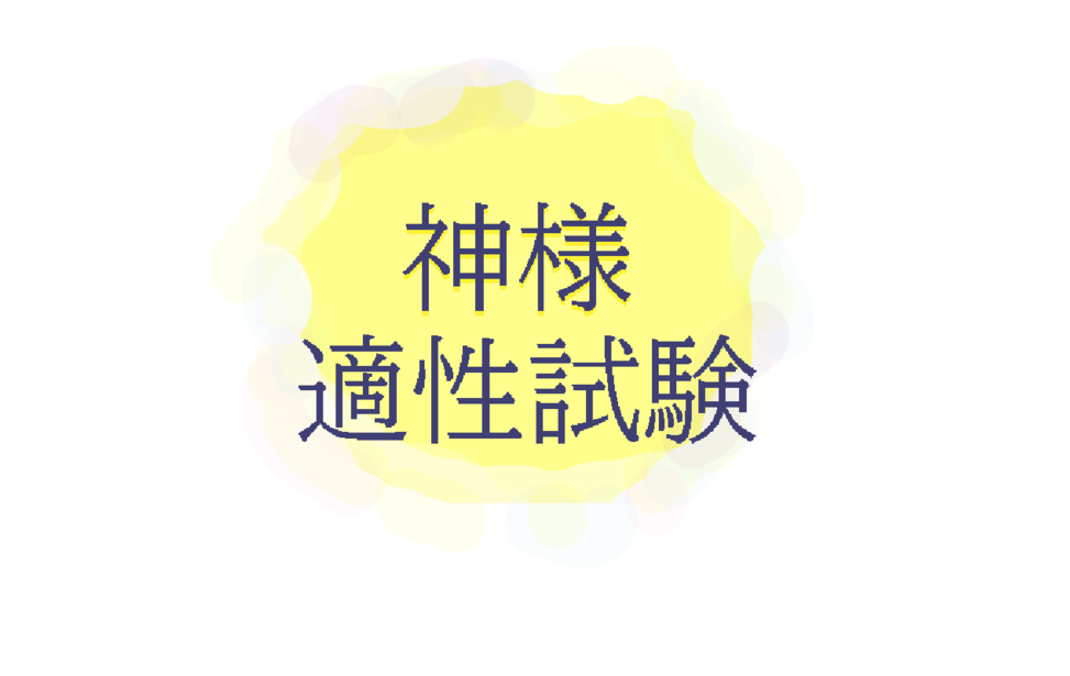 神様適性試験
