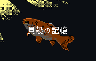 貝殻の記憶