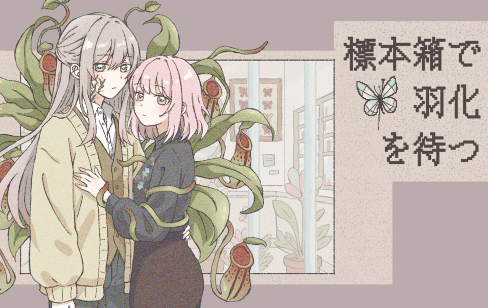 標本箱で羽化を待つ