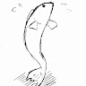 水を得た魚