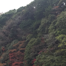 ぇづ