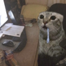 the_exfoedere