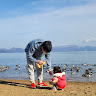 上石姫叶
