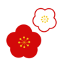 はちみつ梅