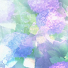 夜月