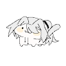 hat_小帽