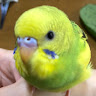 翠.すい.奇行常習犯。