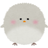 酉井ささみ