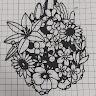 柚