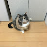 ゆっくりフェードアウト