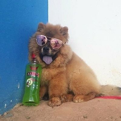 챳챠(꾸금커계정)