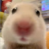 ᄋᄋ