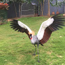 つるるるる
