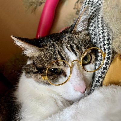 なぎさ