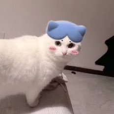 はす?