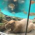 高ノ宮