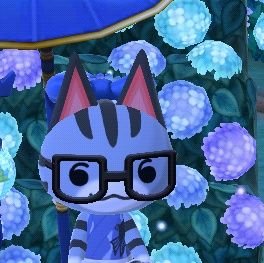 최후의 도시 닭둘기