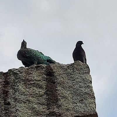 おうぎ