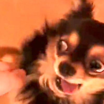 先生の直筆メモ持って帰り太郎