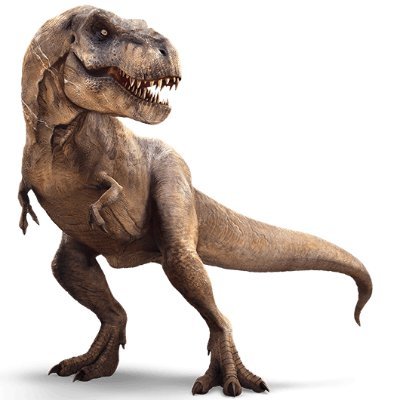 21世紀の申し子