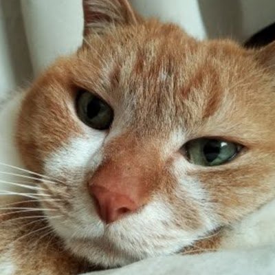 のりたま20才☕️