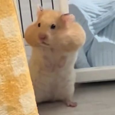 ゆに