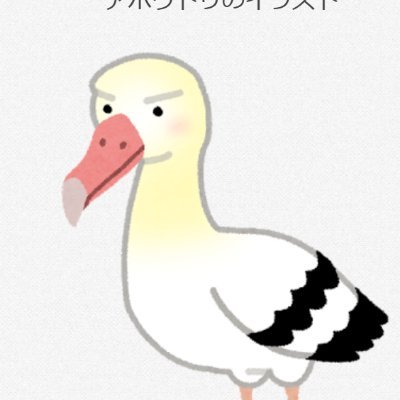 アホウドリ