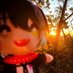 ミカヅキモ