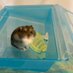 ゆうり