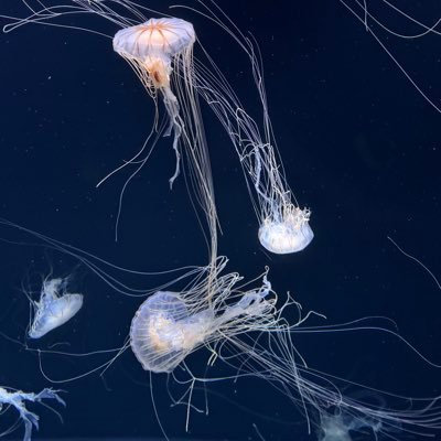 ちくはる