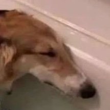 resouppe.bsky.social