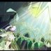 タコ殴りたろろん