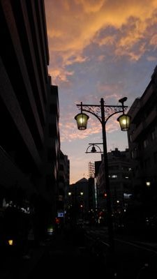 見るだけのアカ