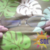 こっしー3D