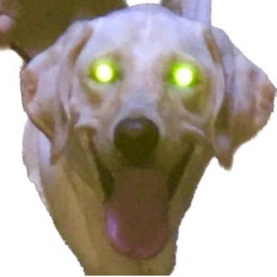 妖怪うさ耳吸い