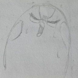 ぼうさく