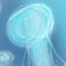 海莉
