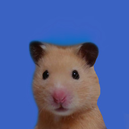 わんわん怪獣ポチポチ