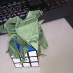 知和知和