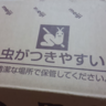 めさき