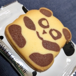 ねこんぬ